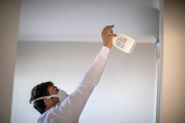 Best Emergency Mold Removal  in Wingate, NC